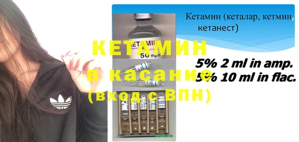 индика Горнозаводск